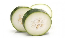 今日吃瓜 反差,反差萌食记